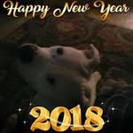 Gary Roberson - @gary.roberson.319 - Instagram