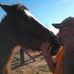 Gary Robison - Facebook