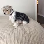 Gary Rose - @rosegary46 - Instagram