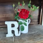 Rose Roth - @garyroseroth - Instagram