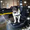 Gary Rowlands - @gary.rowlands3 - TikTok