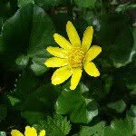 @gary_rowlands_ - Instagram