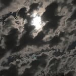 Gary Rowles II - @fuknerrrbody - Instagram