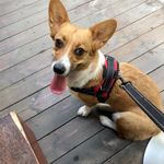 Ruby Chu - @gary.ruby.fan - Instagram