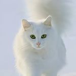 Gary Rush - @gary.rush.osm956 - Instagram