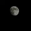 Gary Rush - @gary.rush3 - TikTok