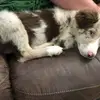 garyrush721 - @garyrush721 - TikTok