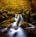 Gary Saenz - Facebook