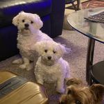 Gary Salerno - @gary.salerno.7 - Instagram