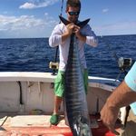 Gary Sands - @garysands1 - Instagram