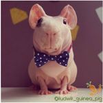 Gary Satterfield - @g_satterfield - Instagram