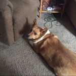 Gary Scarbrough - @g.scarbrough - Instagram