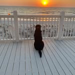 Gary Schaaf - @gschaaf1 - Instagram