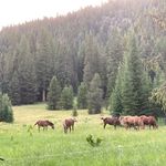 Gary Schaefer - @garyschaefer68 - Instagram