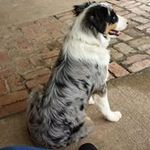 Gary Schaefer - @gary.schaefer.75491 - Instagram