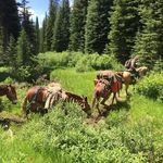 Gary Schaefer - @garyschaefer549 - Instagram