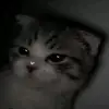 Gary Schaefer - @garyschaefer552 - TikTok