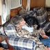 Gary Schauers - Facebook