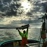 Gary Schmidt - @garybfishin48 - Instagram