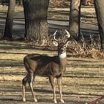 Gary Schmidt - @garyschmidt6164 - Instagram