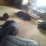 Gary Schrader - @gary.schrader.33 - Instagram
