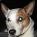 Gary Schwalm - Facebook