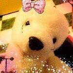 Gary - @gary_the_seal - Instagram