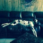 Gary Seal - @gary.seal.942 - Instagram