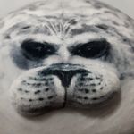 Gary the Seal - @gary_the_chonky_seal - Instagram