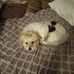 Gary Seale - Facebook