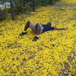 Gary Sealey - @sealeygary - Instagram