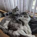 Gary Seaton - @garyseaton75 - Instagram