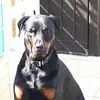 Gary Seaton - @gary.seaton - TikTok