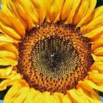 Gary Seaton - @seatongary23 - Instagram