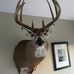 Gary Seigler - Facebook