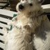Gary Seitz - Facebook