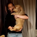 Gary Sessions - @goharyshafak - Instagram