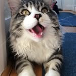 Gary Seward - @gary.seward.90 - Instagram