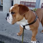 Lynn Olsen - @garyseward1967 - Instagram