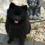 Gary Sharp - @gary.sharp.75839 - Instagram