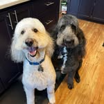 Gary Sharp - @garysharp73 - Instagram