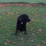 Gary and Heather Shetler - @shetlergaryheather - Instagram