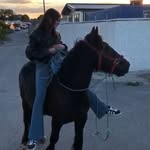 Gary Shields - @gs_3817 - Instagram