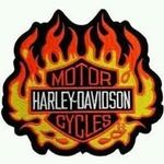 Gary Shields - @shields.gary - Instagram