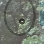 Gary Shope - @shopegary - Instagram