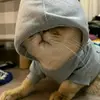 Gary Sievers - @garysievers208 - TikTok
