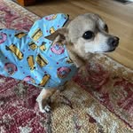 Gary Silver, PI - @gary_silver_pi - Instagram