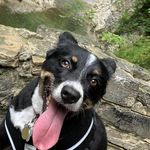Gary Silverman - @garysilv2 - Instagram