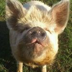 Gary Simons - @gary.simons.3517 - Instagram