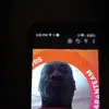 garysimpkins8 - @garysimpkins8 - TikTok